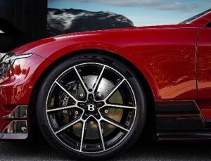 Pirelli, Goodwood’a P Zero Ailesiyle Damga Vuruyor