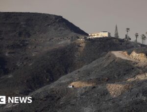 Seven Britons among those killed in Spain wildfires