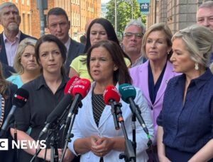 Sinn Féin bring forward bill for United Ireland working group