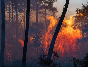 Southern Europe still battling wildfires as Spain declares national emergency in Madrid region