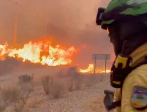 Survival guide: Key advice for what to do if you find yourself caught by a wildfire
