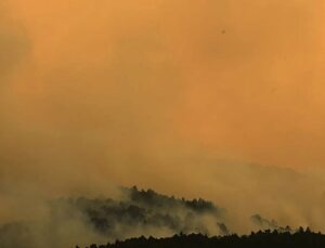 Wildfires rage across parts of France, Spain and Italy
