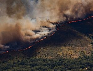 Wildfires up 57% in Europe in just four years, WHO warns