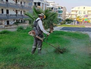 Didim Belediyesi kent genelinde ot biçme ve budama çalışmalarını sürdürüyor