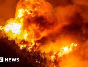 Dozens injured and thousands evacuated in Croatia wildfire