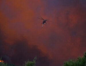 Why the EU is betting on prevention in its new wildfire strategy