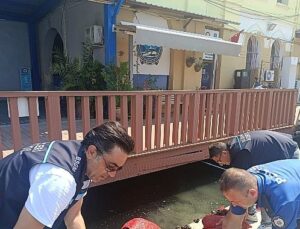 Yasa Dışı Kara Midye Avcılığına Geçit Yok